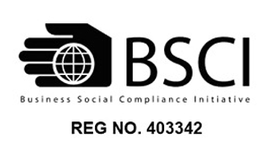 BSCI